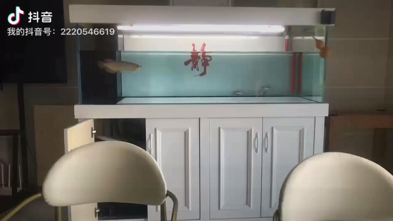 換水下藥