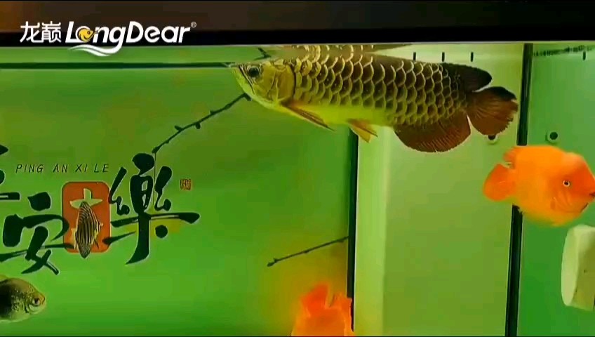 轉(zhuǎn)發(fā)756