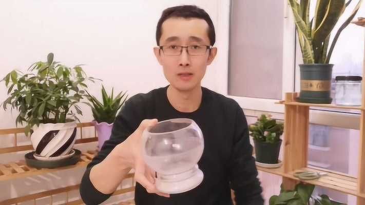 玻璃魚缸可以裝土養花嗎：玻璃魚缸可以種植陸生植物嗎？