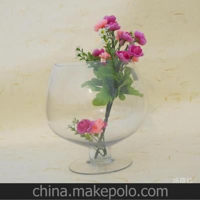 玻璃魚缸可以裝土養花嗎：玻璃魚缸可以種植陸生植物嗎？