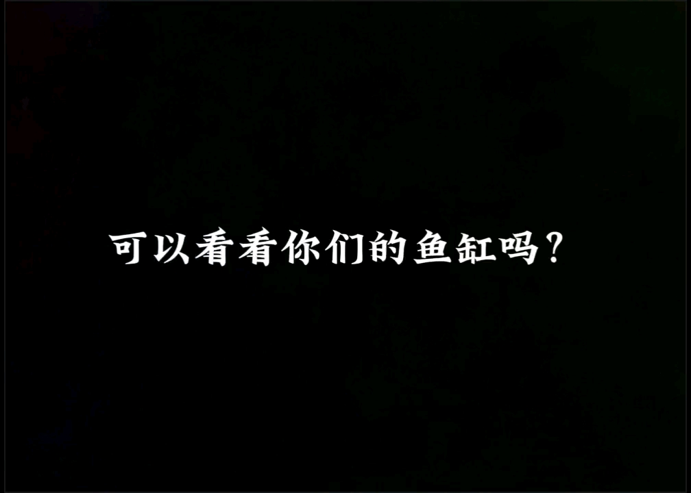 我的魚搬家了