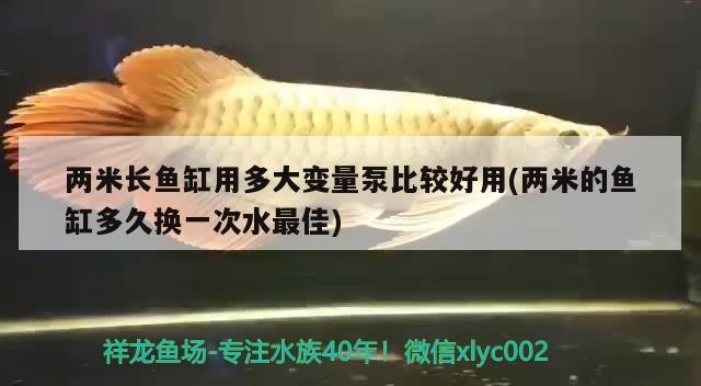 兩米長魚缸用多大變量泵比較好用(兩米的魚缸多久換一次水最佳) 兩米長魚缸用多大變量泵比較好用(兩米的魚缸多久換一次水最佳) 魟魚百科