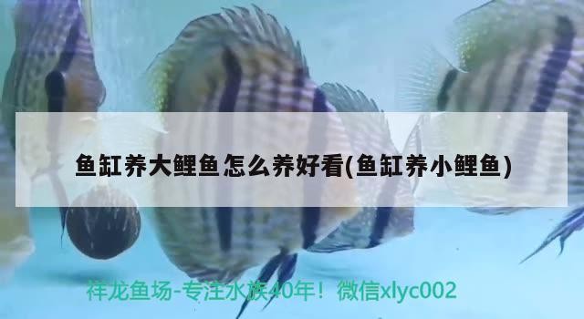 中國十大高端魚缸品牌排行榜圖片及價格大全(中國品牌魚缸排行榜前十名) 金龍魚百科 第2張 中國十大高端魚缸品牌排行榜圖片及價格大全(中國品牌魚缸排行榜前十名) 中國十大高端魚缸品牌排行榜圖片及價格大全(中國品牌魚缸排行榜前十名) 金龍魚百科 第2張