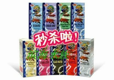 龍魚用藥vs祥龍魚場：如何辨別龍魚健康狀況