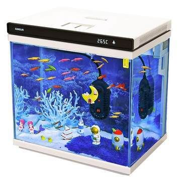 森森小型魚缸能養魚嗎：森森小型魚缸能養魚嗎森森小型魚缸能養魚嗎