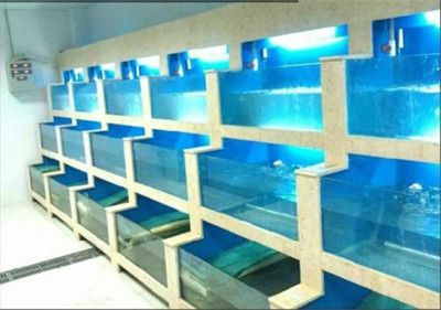 泉州龍魚vs祥龍魚場（探討泉州龍魚與祥龍魚場之間的差異時，我們需要明確各自的背景和特點）