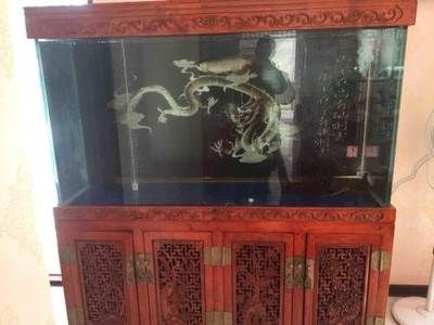 泉州龍魚vs祥龍魚場（探討泉州龍魚與祥龍魚場之間的差異時，我們需要明確各自的背景和特點）