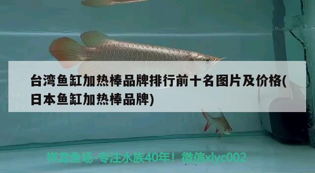 臺灣魚缸加熱棒品牌排行前十名圖片及價格(日本魚缸加熱棒品牌)