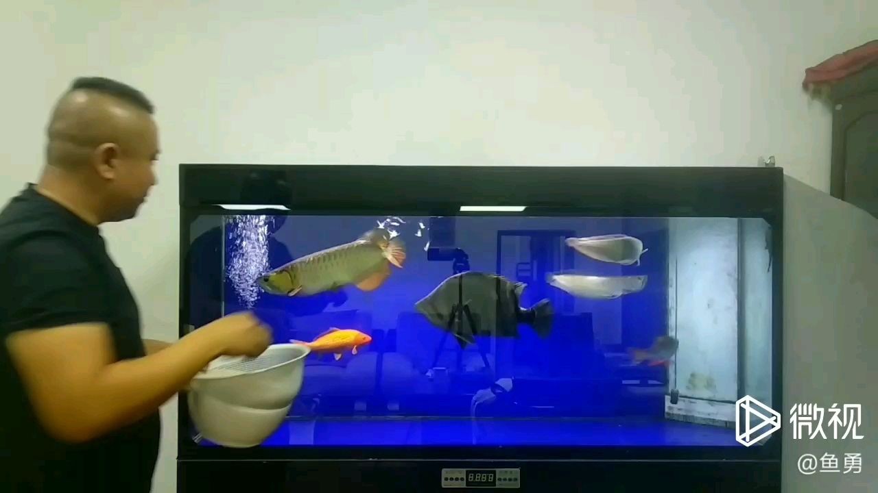魚食太小