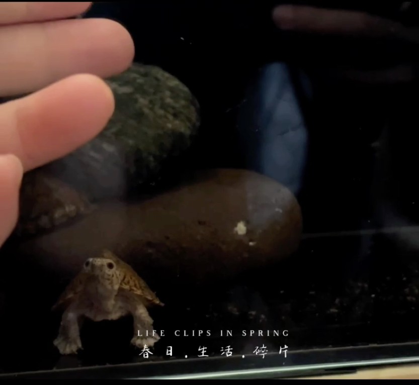 互動起來吧！