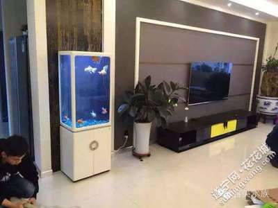 7s魚缸是哪個廠家的：7s魚缸品牌佳寶jebo選購指南