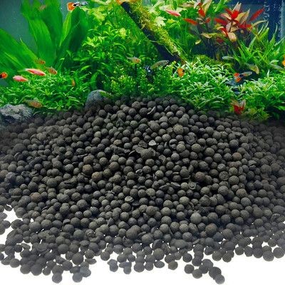 慈鯛魚缸底砂魚屎怎么處理：如何處理慈鯛魚缸底砂中的魚屎
