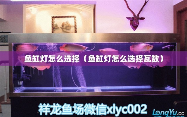 賽罕區(qū)銀海水族館（賽罕區(qū)銀海水族館電話）