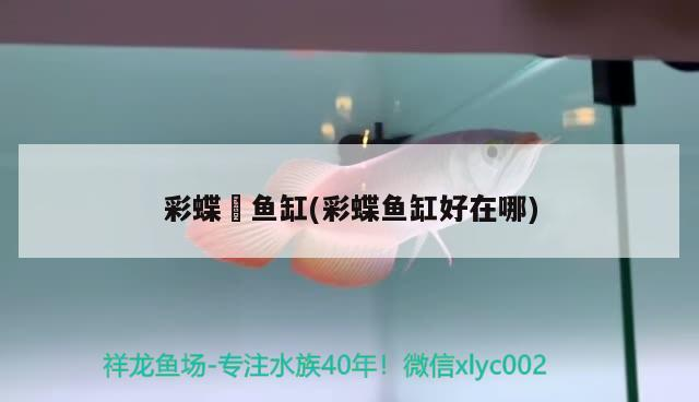 過背金龍魚發色過程圖片大全（過背金龍魚發色過程圖片大全大圖）