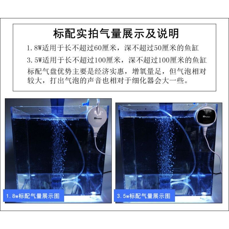 不用氧氣泵怎么給魚缸加氧氣：如何在魚缸中增加氧氣？