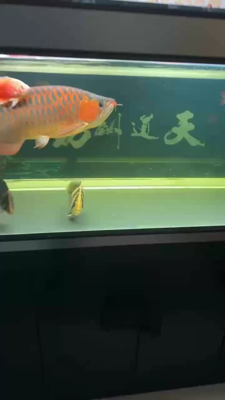 想吃，餓