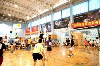 梧州龍魚vs祥龍魚場（梧州龍魚漆業(yè)有限公司與祥龍魚場在業(yè)務(wù)上有什么區(qū)別？） 梧州龍魚vs祥龍魚場（梧州龍魚漆業(yè)有限公司與祥龍魚場在業(yè)務(wù)上有什么區(qū)別？） 全國水族館企業(yè)名錄 第2張