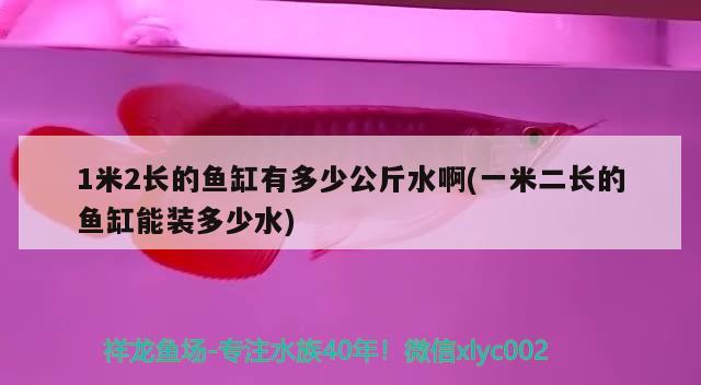1米2長的魚缸有多少公斤水啊(一米二長的魚缸能裝多少水) 1米2長的魚缸有多少公斤水啊(一米二長的魚缸能裝多少水) 魟魚百科