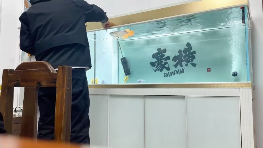 這狀態(tài)還可以吧？