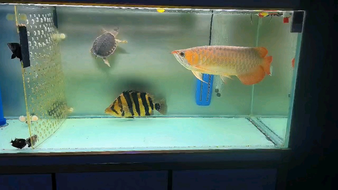 空間小沒狀態