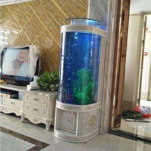 吧臺上可以放魚缸嗎：吧臺魚缸擺放位置對風水的影響