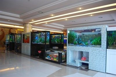 吧臺上可以放魚缸嗎：吧臺魚缸擺放位置對風水的影響