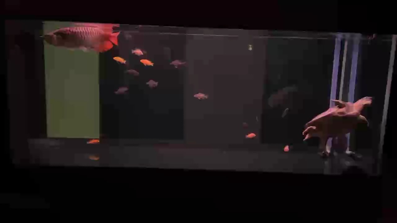 算空氣缸不？