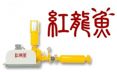 紅龍魚哪個品牌最好養(yǎng)活：如何選擇紅龍魚品牌