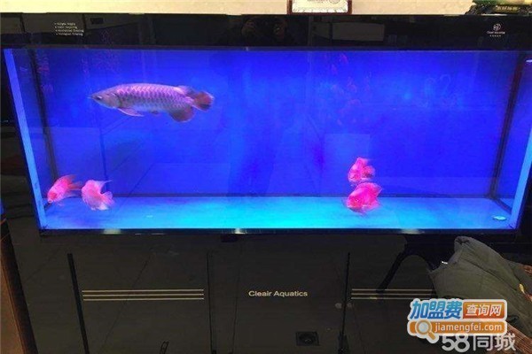 昆明市西山區(qū)榮發(fā)水族店（昆明市西山區(qū)榮發(fā)水族店地址）