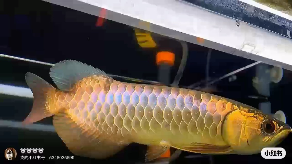求估價 謝謝