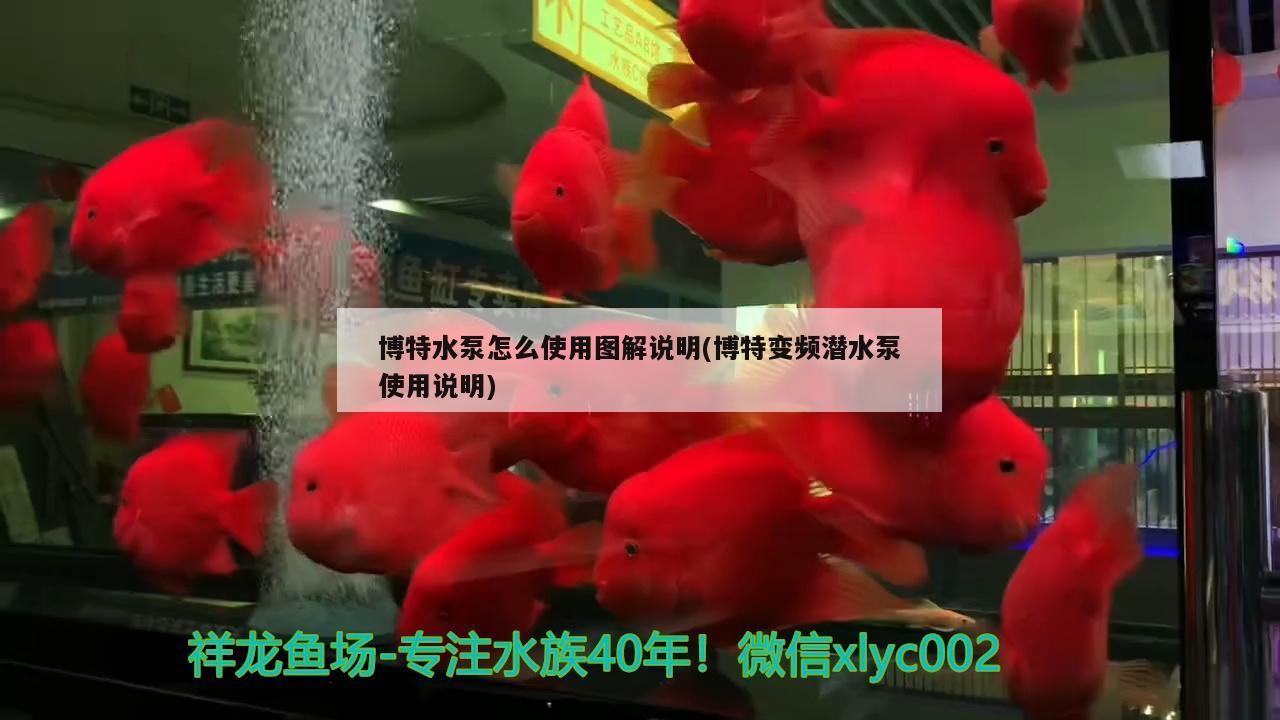 博特水泵怎么使用圖解說明(博特變頻潛水泵使用說明)