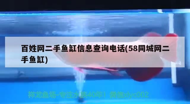 百姓網二手魚缸信息查詢電話(58同城網二手魚缸)