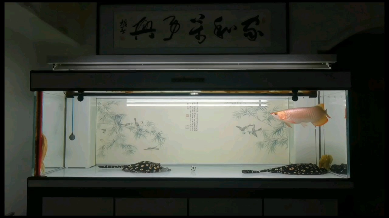 努力保持微笑！
