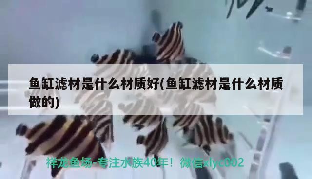 魚缸濾材是什么材質(zhì)好(魚缸濾材是什么材質(zhì)做的)