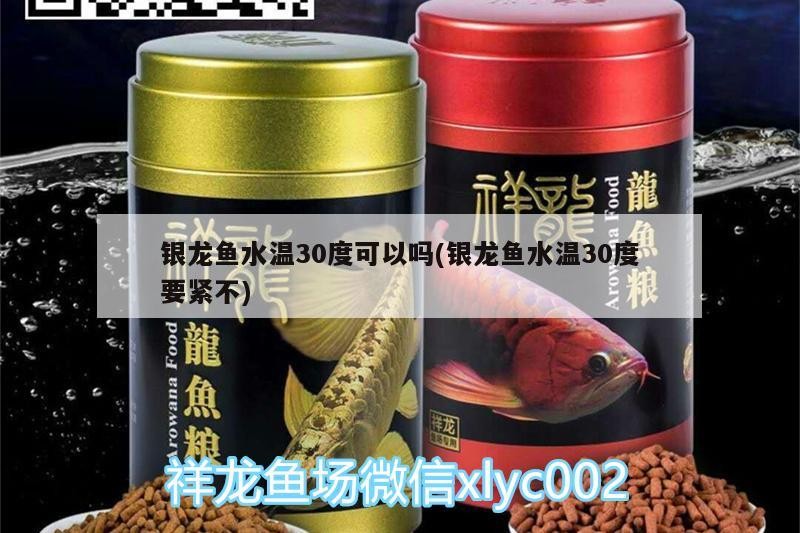銀龍魚水溫30度可以嗎(銀龍魚水溫30度要緊不)