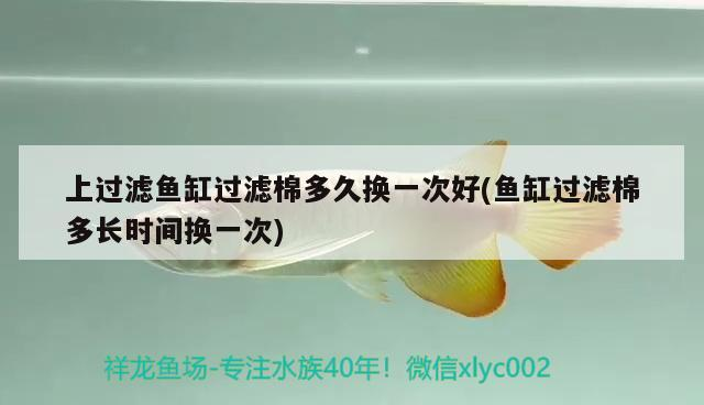 陽泉二手魚缸轉讓58同城信息大全最新消息(陽泉哪里有賣魚缸的) 陽泉二手魚缸轉讓58同城信息大全最新消息(陽泉哪里有賣魚缸的) 魟魚百科 第2張
