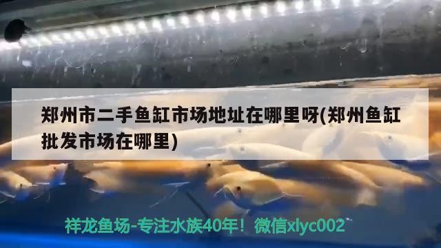 鄭州市二手魚缸市場地址在哪里呀(鄭州魚缸批發(fā)市場在哪里)