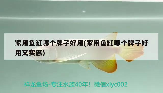 家用魚缸哪個牌子好用(家用魚缸哪個牌子好用又實惠)