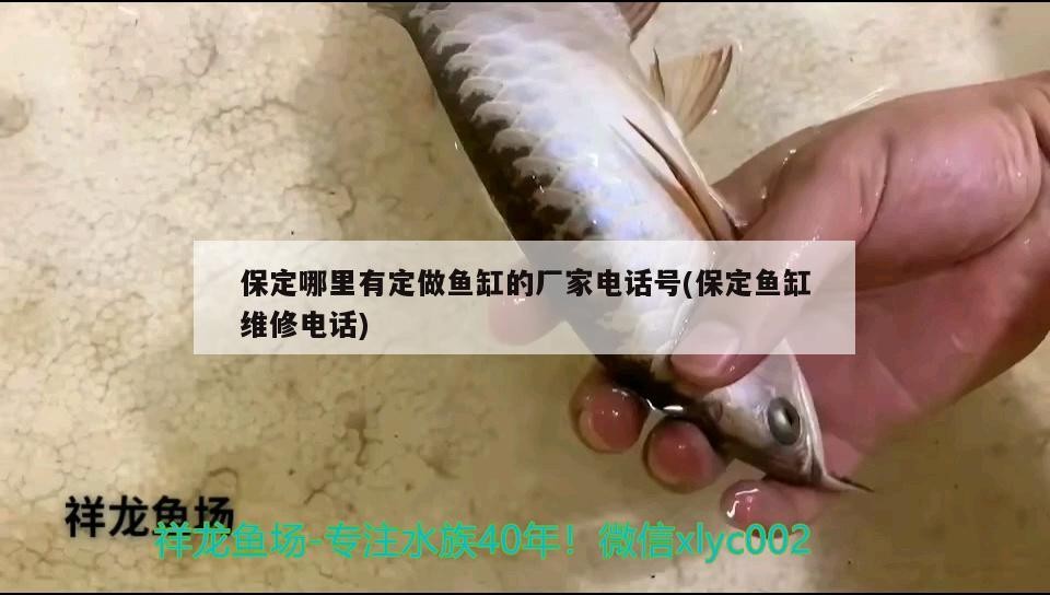 保定哪里有定做魚缸的廠家電話號(保定魚缸維修電話)