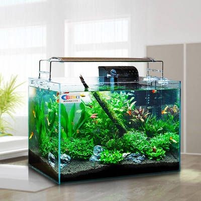 超白魚缸去哪買比較好看又實(shí)惠：如何挑選一款超白魚缸？