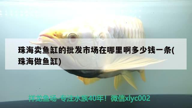 珠海賣魚缸的批發市場在哪里啊多少錢一條(珠海做魚缸)