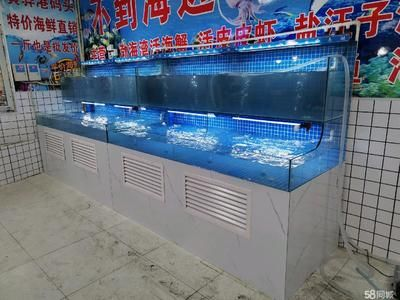 大興黃村哪里有賣魚缸的地方呀：在大興黃村地區可以找到購買魚缸的地方