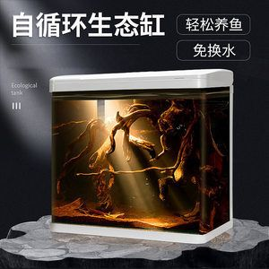 大興黃村哪里有賣魚缸的地方呀：在大興黃村地區可以找到購買魚缸的地方