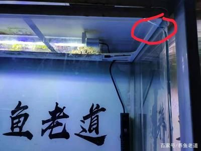 玻璃魚缸會自己爆裂嗎