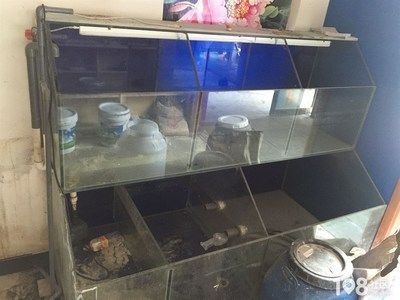 大魚缸滲水怎么補漏的快：大魚缸滲水的快速補漏方法