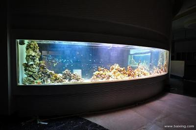 鞏留縣小文水族（鞏留縣小文水族館地址）