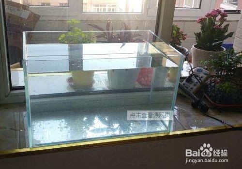 超白玻璃魚缸會爆缸嗎視頻：如何避免超白玻璃魚缸爆缸？