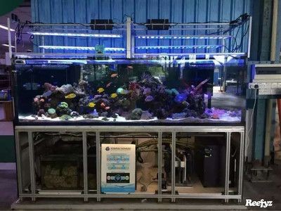 1.5米魚缸制作圖紙視頻：1.5米魚缸制作圖紙