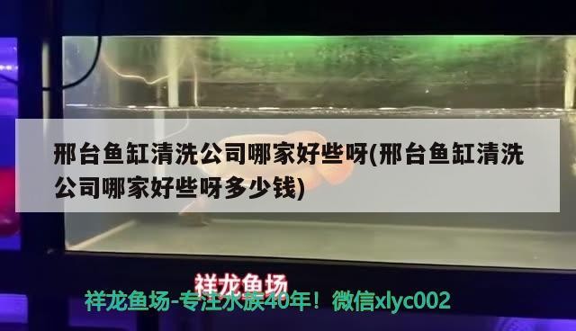 邢臺魚缸清洗公司哪家好些呀(邢臺魚缸清洗公司哪家好些呀多少錢)