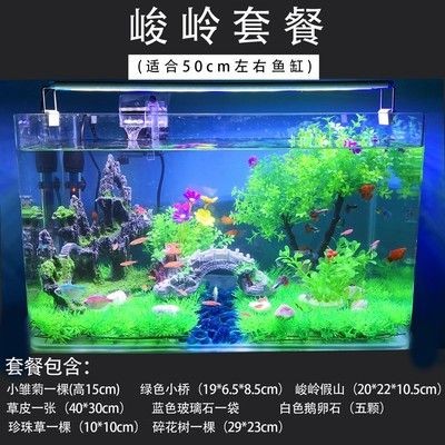 15厘米魚缸造景：15厘米小魚缸造景，創造精致的魚缸景觀， 15厘米魚缸造景：15厘米小魚缸造景，創造精致的魚缸景觀， 魚缸百科 第2張